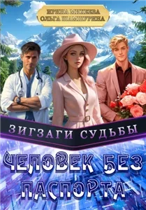 Зигзаги судьбы. Человек без паспорта - Ольга Шамшурина, Ирина Михеева