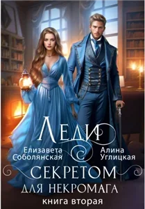 Школа в наследство для попаданки 4. Леди с секретом для некромага. Книга 2