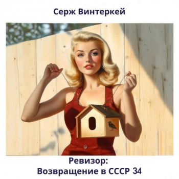 Ревизор: возвращение в СССР. Книга 34 - Серж Винтеркей, Артем Шумилин